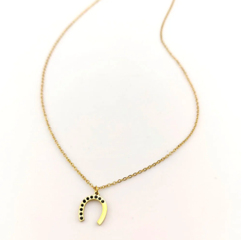 2025 New Summer Delicate Stainless Steel Horseshoe Necklace for Women  Trendy Rhinestone Design