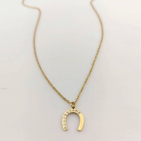 2025 New Summer Delicate Stainless Steel Horseshoe Necklace for Women  Trendy Rhinestone Design