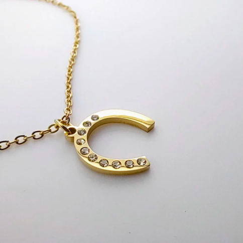 2025 New Summer Delicate Stainless Steel Horseshoe Necklace for Women  Trendy Rhinestone Design