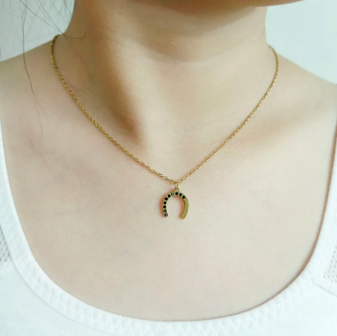 2025 New Summer Delicate Stainless Steel Horseshoe Necklace for Women  Trendy Rhinestone Design
